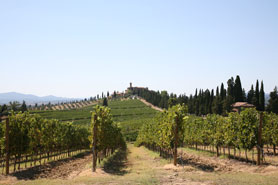 banfi winery tuscany italy