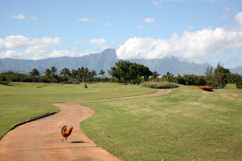 Golf Kauai