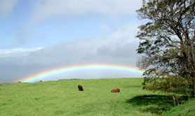 haleakala rainbow